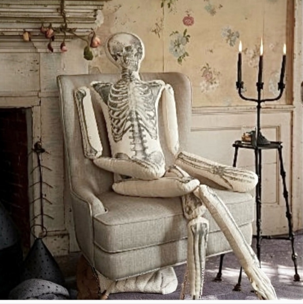 New John Derian XL Skeleton pillow home decor goth Gothic apothecary skull